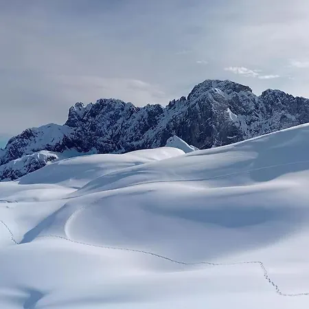 La Marmotta Gialla - - Lakes - Mountains
