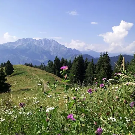 La Marmotta Gialla - - Lakes - Mountains Clusone